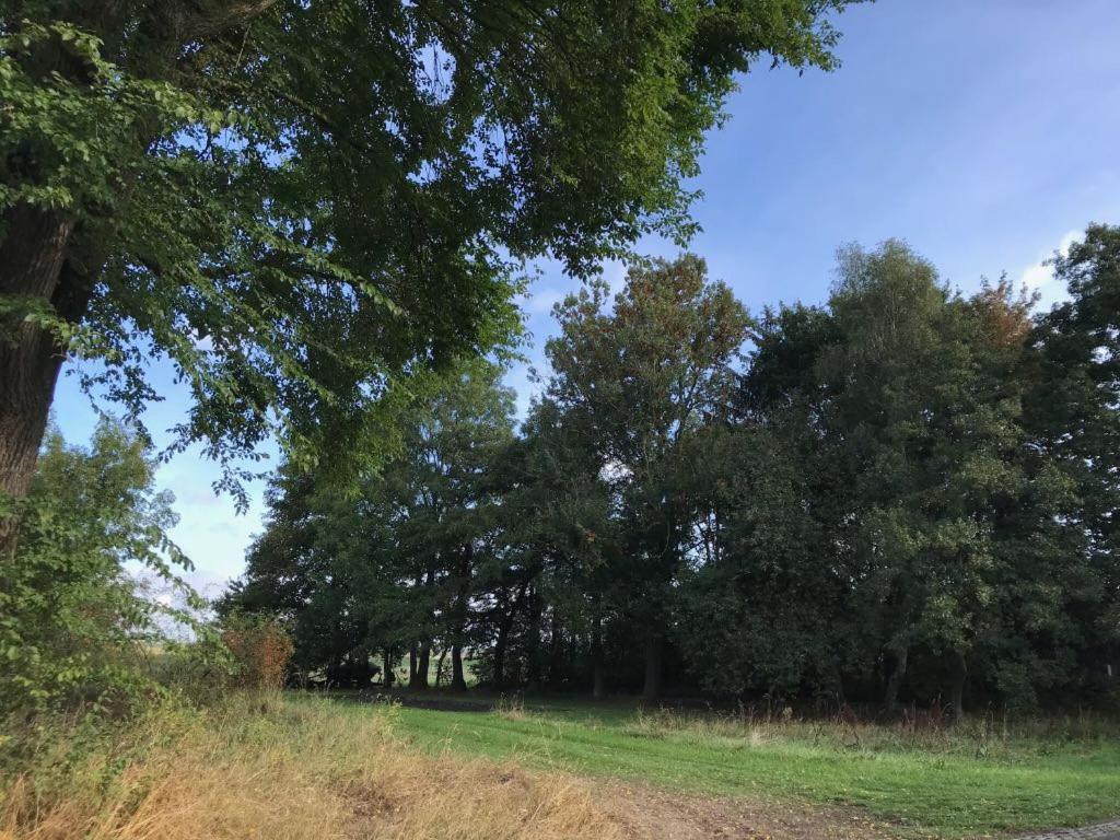 Johanna'S Oostwold  Exterior foto